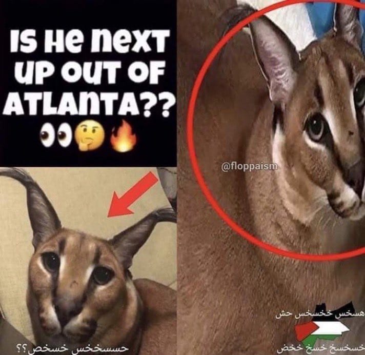 39A93AF6 0FB4 46C8 8D5C 77690118AA66