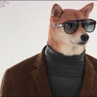 BC1E05CF F476 4899 BB78 EF2A3BDB754C