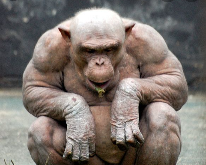 Screenshot 20210407 093705