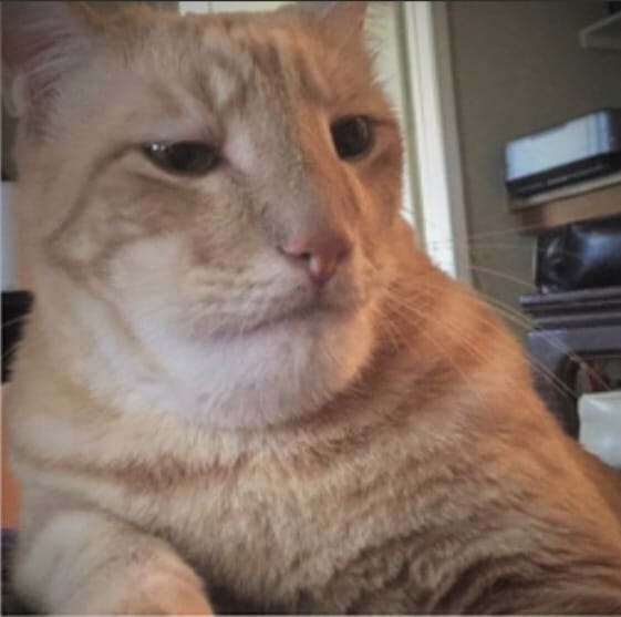 57D31242 8470 4DEB 8CC1 D0B021F59363