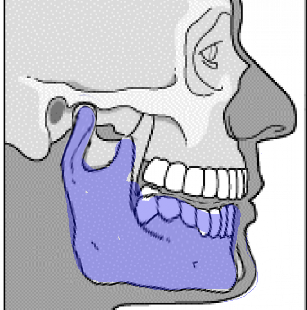1618289779614