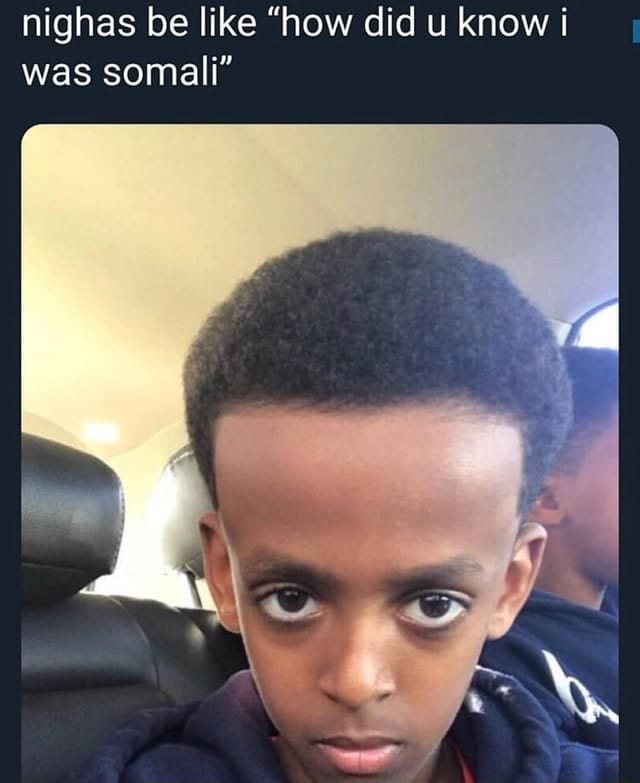 85AB8794 45C7 4A8E 920E AC65F10ED0C0