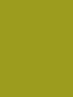 9c9c1e