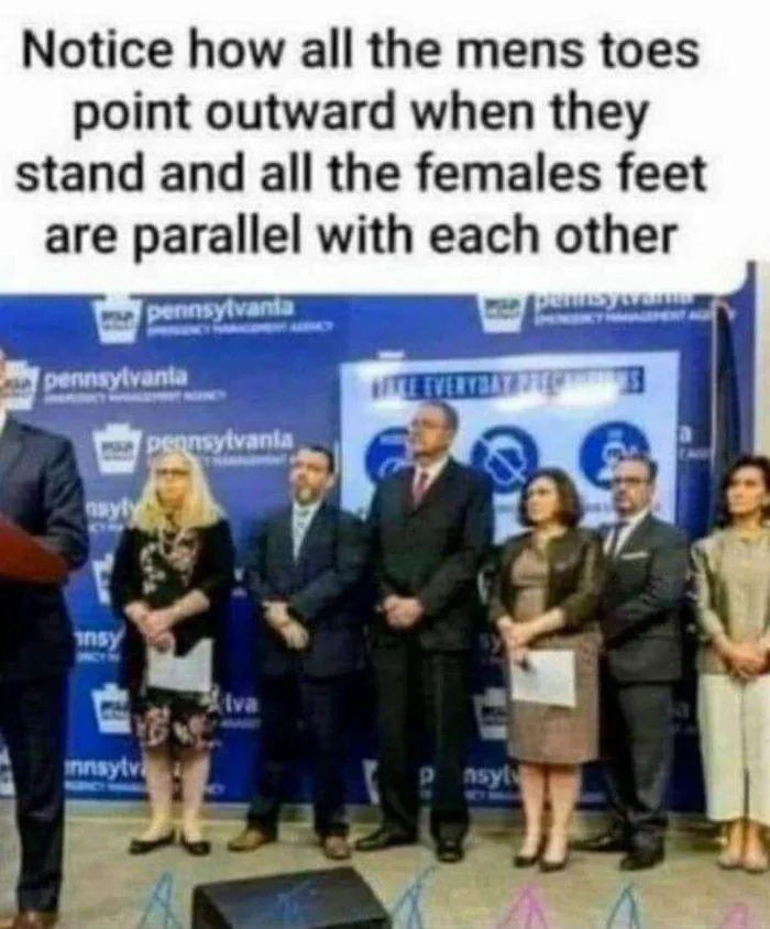 782C2668 6E58 4591 A180 C912F4B3DE74