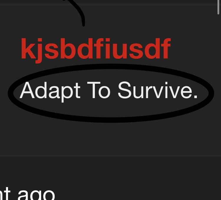 A5DAFF63 85BD 4B90 872C FB8D0677A99E