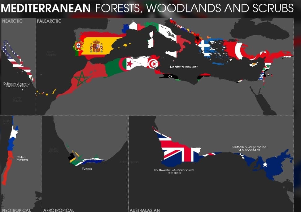 SmartSelect 20210414 235040 Gallery