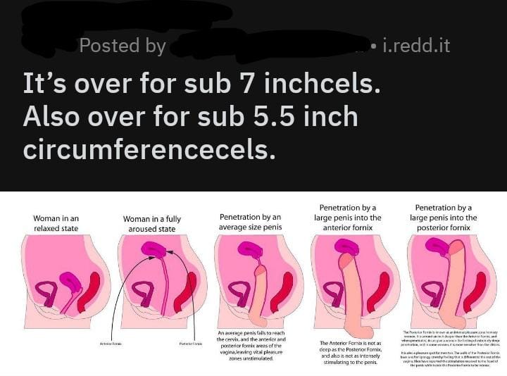 84E80A6F EFA9 4E00 AB1C BEA8326498DC