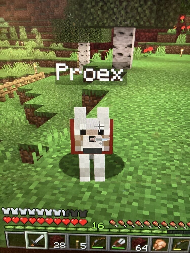 D47AEE6D D979 4762 8470 82D8BBD11803