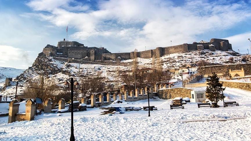 Kale1 16 9 1550579130