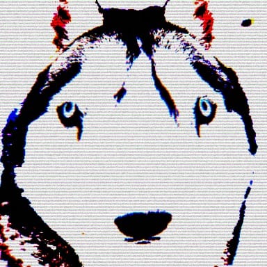 706838B5 58B4 436B 9FBB CD54EE012801