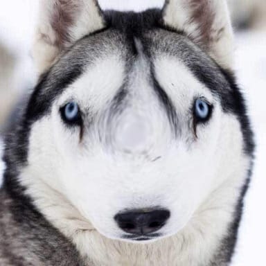 0A74129A 9262 4DA0 8C54 188DA34872B9