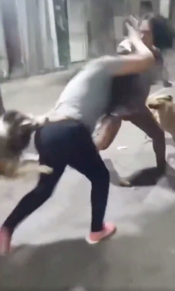 Screenshot 2020 12 09 at 143514