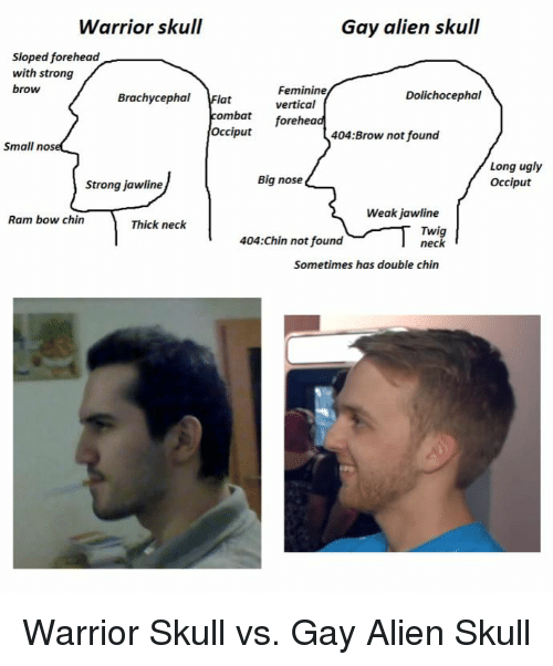 Warrior skull gay alien skull sloped forehead with strong brow 35861358