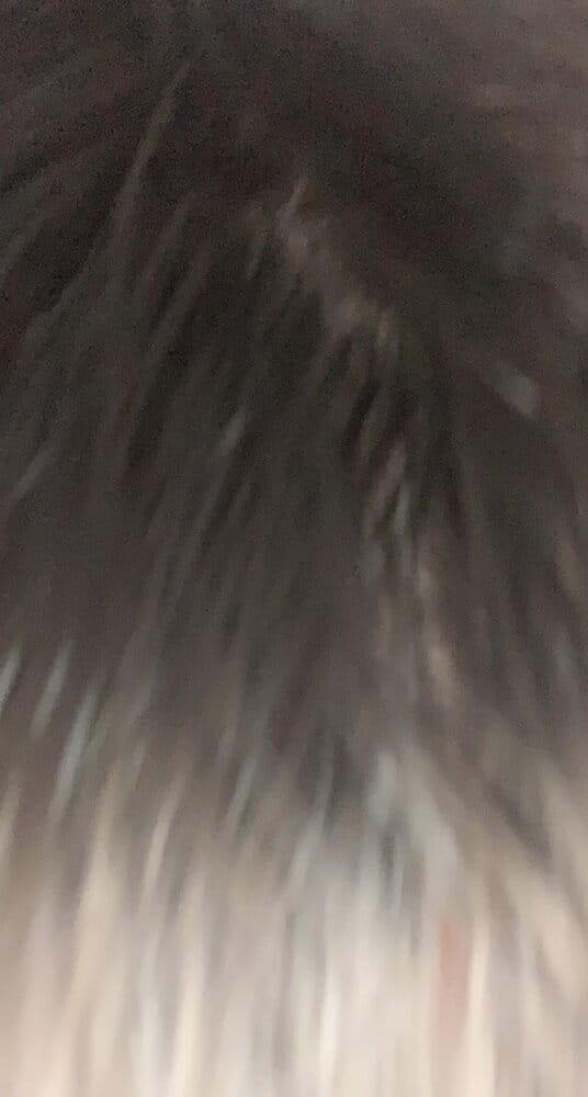 B8BC497D EFF9 49AA 9C2F 703A40136D51