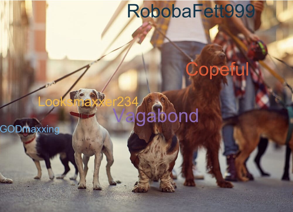 7E29CF42 EA18 4065 889C 3D6AE61EF807