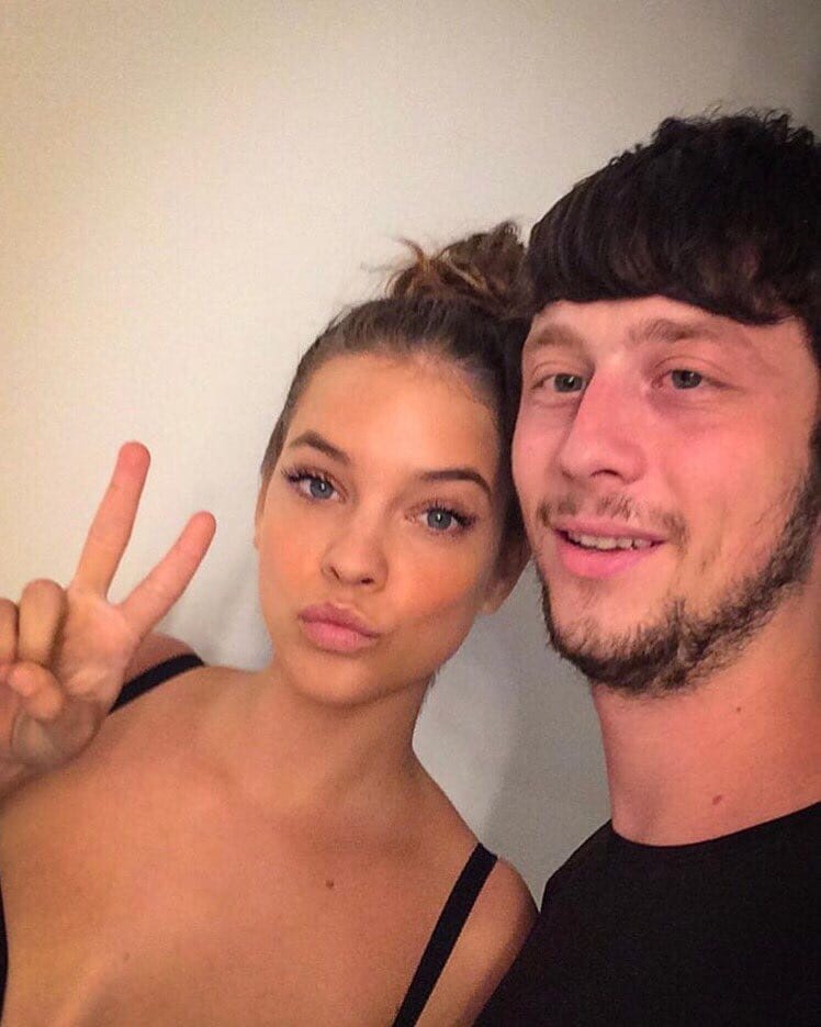 Palvin fog