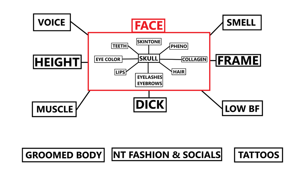 Looksmaxxing chart