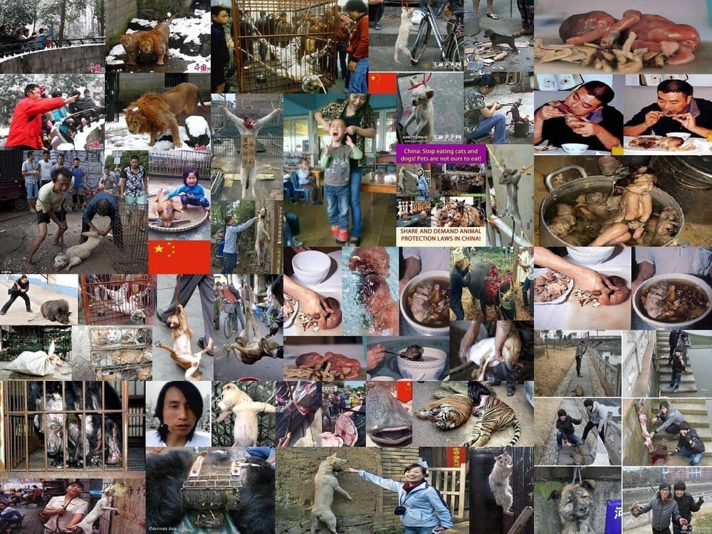 China might be worse than africa