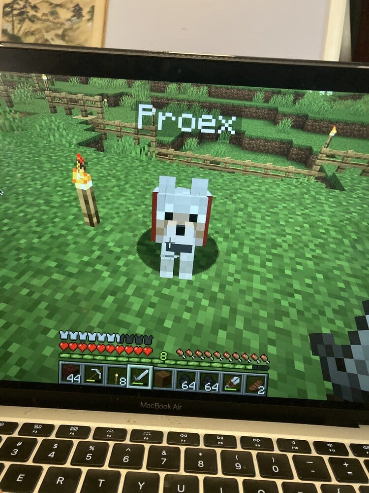 273DDDD6 7133 40EC B70B 84BECDAEDB81