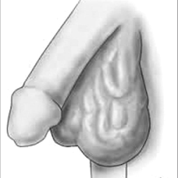 9C215BC5 3204 43F9 AA08 74489EE781D9