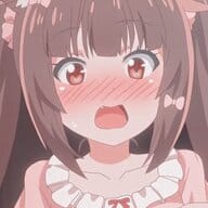 24031