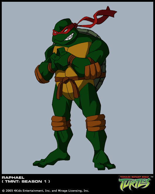 2521041 turtle1515