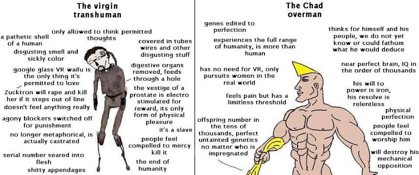 Images 3