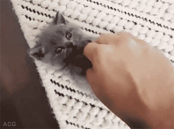 AA4D98BD 7FE0 4519 AB16 A7C6EFD9EF60