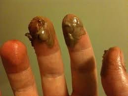 EE013D0F 8AD3 4B33 AA04 53DB719BB265