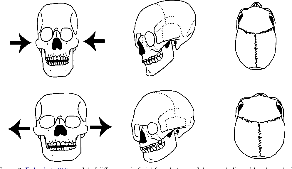 8 Figure2 1