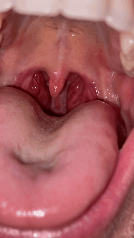 58E17233 C5F0 4C60 B48E 0A7DA058746B