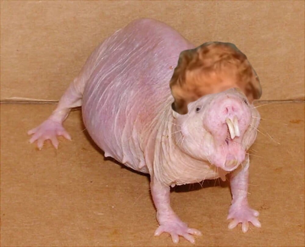 823C3AFD E011 49F6 AD13 08CE48071D6E