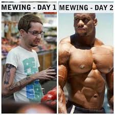 45B75F5E 3573 4F5E 82D8 17DD6081FA5B