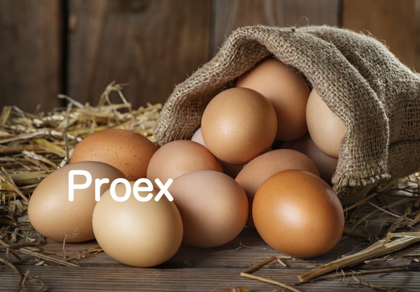 C1F99697 12E9 4B7F B494 49540C13E49F