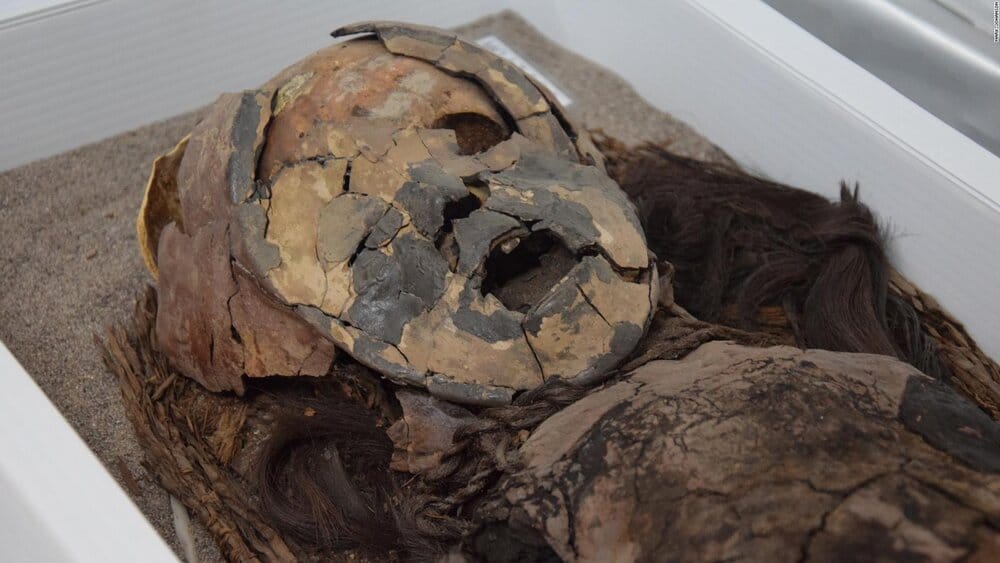 190419112110 06 chinchorro mummies full 169 190419112110 06 chinchorro mummies full 169