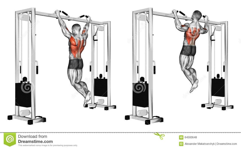 Exercising pulling up wide grip hand crossbar undergrip bodybuilding target muscles marked red