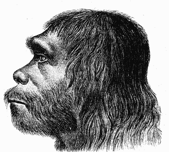 1 neanderthal