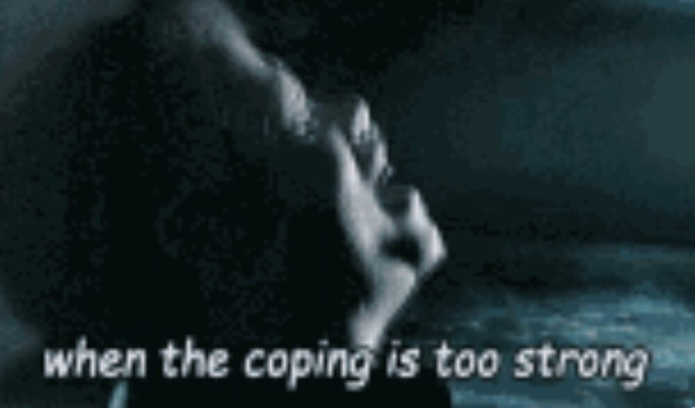 F2938B86 5B1F 4B5E BCDF DC01F9FA897D