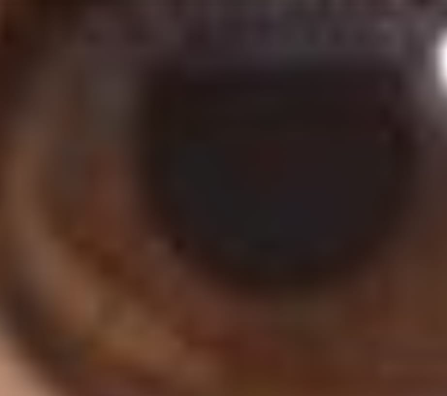 7DC1BE1D A64F 465B BDF3 8FAFD2D332E0