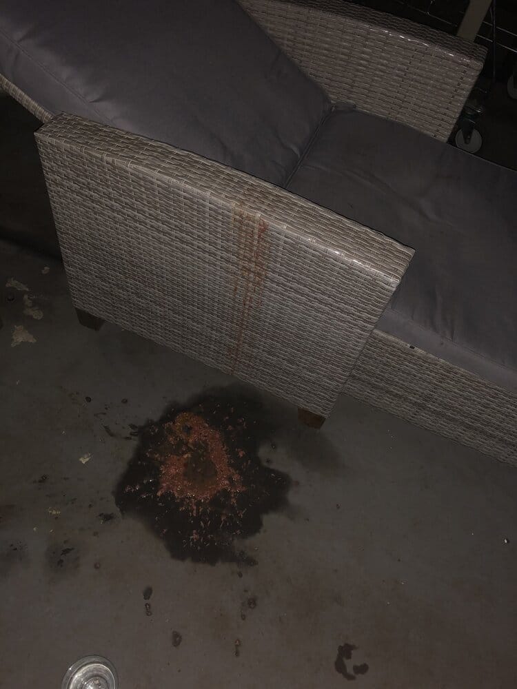 3156941A 6FF9 4AC0 A8C4 15BB6EB7BE55