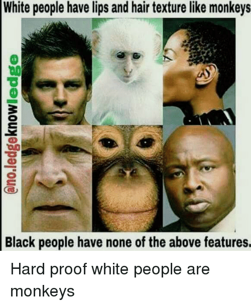 034CEB10 98BB 4677 B0D8 B22B61BA339B