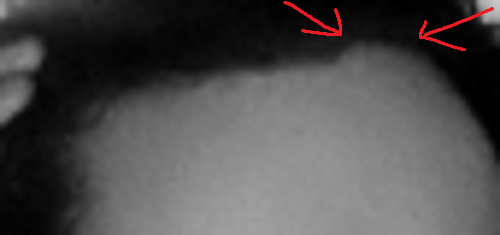 16169430183618024