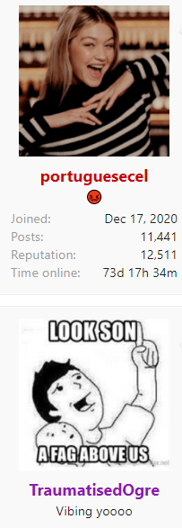 1620221691341