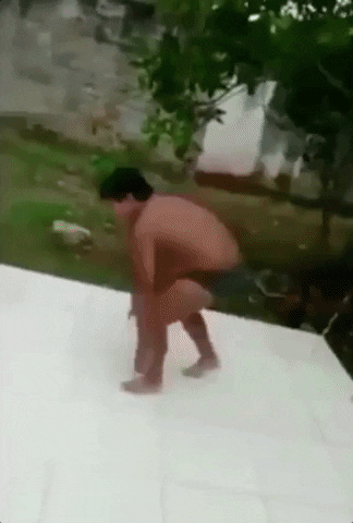 Giphy 1