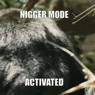 Gif0