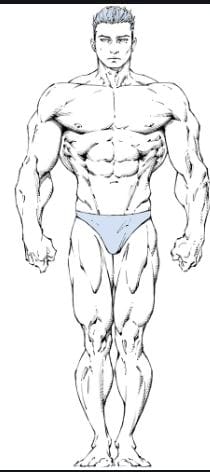 25