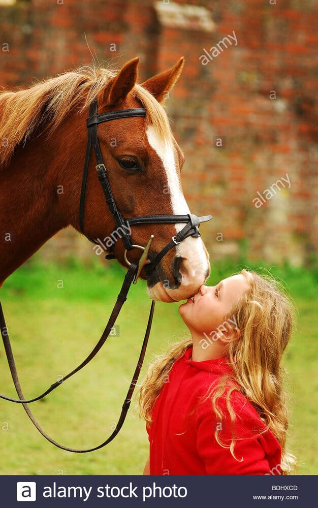 Girl kissing a horse BDHXCD