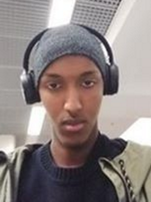Alian fag