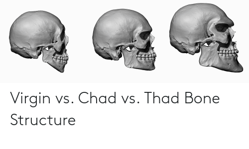 Virgin vs chad vs thad bone structure 72129027