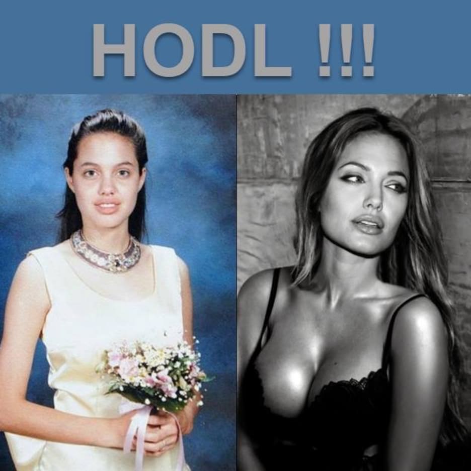 Hodl